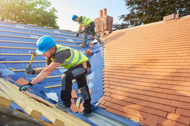 Best Gutter Installation and Repair  in Middleport, OH